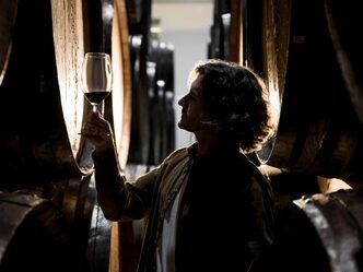 Global market study of the wine sector